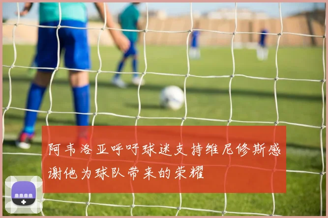 阿韦洛亚呼吁球迷支持维尼修斯感谢他为球队带来的荣耀